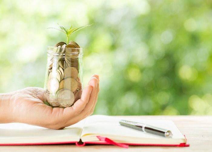 Expert Wealth & Financial Stability Solutions in Adelaide – Proven Vedic Remedies